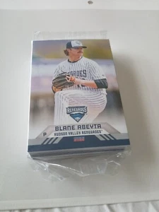 2022 Hudson Valley Renegades 40 Card Team Set-AUSTIN WELLS CARLOS NARVAEZ - Bild 1 von 4