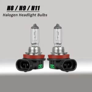 Bright White LOW BEAM Headlight Bulbs for Volvo XC90 2003-2018 Qty 2 - Bild 1 von 9