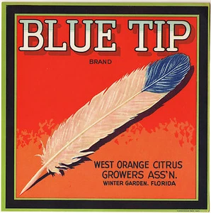 *Original* BLUE TIP Winter Garden Feather Florida Citrus Crate Label NOT A COPY! - Picture 1 of 1