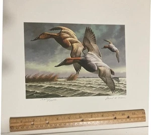1982-83 DUCK PRINT SIGNED DAVID A. MAASS + 1982 $7.50 DUCK STAMP MNH (RW49) - Bild 1 von 4