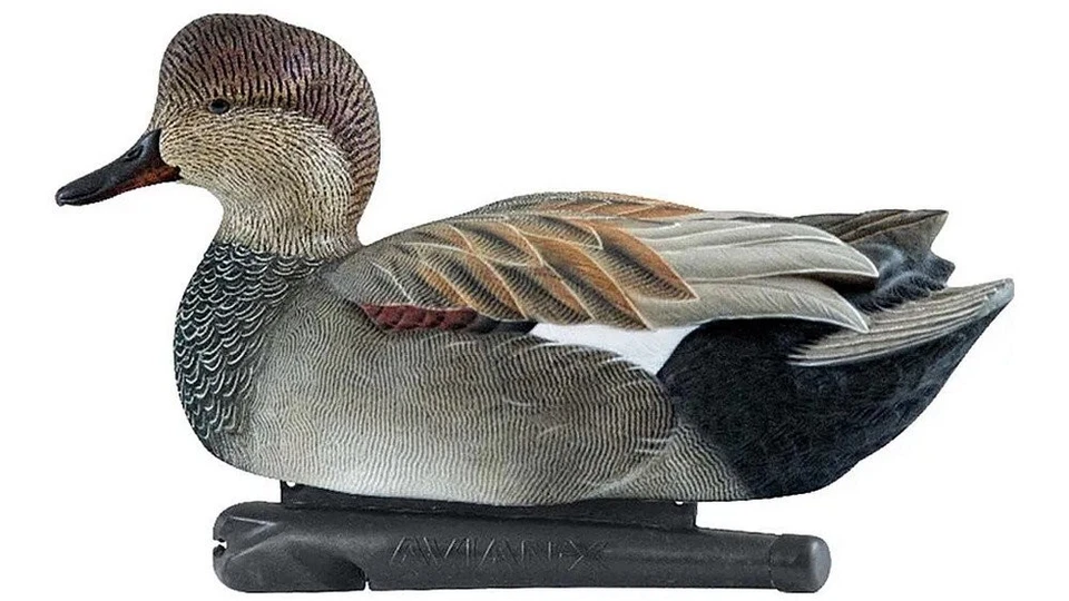 Avian-X Power Swimmer Gadwall Drake Motion Duck Decoy - AVXPSWGDSW - Image 1 of 1