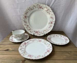 Hutschenreuther Alemania Rosa Floral 6 Piezas Ajuste de Lugar - Imagen 1 de 7