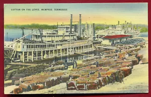 Levee Baumwollszene Memphis Tennessee Postkarte #2 - Bild 1 von 2