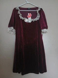 Apfelwein Kleid 2x Burgund Samt Spitze Witchy Whimsigoth Renaissance Grunge Neu - Bild 1 von 13