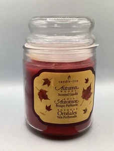 Candle-lite Autumn Woods Kerze 20oz - Bild 1 von 3