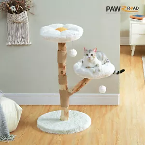 PAWZ Road Naturholz Kratzbaum mit 2 Blumen Sitzplätzen 90cm Boho Katzenmöbel - Bild 1 von 13