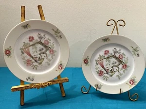 Royal Bird Occupied Japan 5GK China Pair Of Bread Plates Colorful Parrot Flowers - Picture 1 of 7
