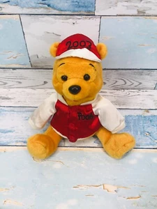 RARE DISNEY THEME PARK EDITION WINNIE THE POOH 2003 BEAN BAG PLUSH DOLL TOY (2) - Picture 1 of 11