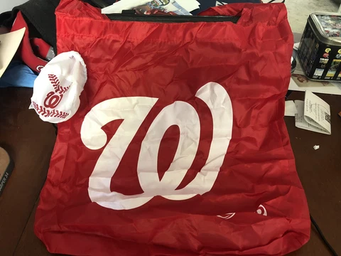 Washington Nationals Tote Bag MLB Beach Bag Easy To Pack Travel 15x15 Cover