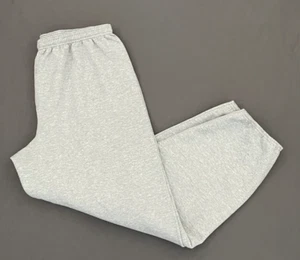 NWOT! Hanes Sweatpants Mens XL Gray Ecosmart Fleece Lined Inner Drawstring Pants - Picture 1 of 9