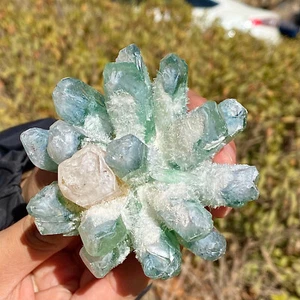 288G Green Ghost Citrine Crystal symbiosis Cluster Mineral Specimen Healing - Picture 1 of 12