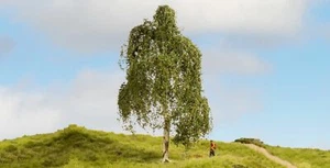 Noch 20120 - Bouleau verruqueux, 18 cm - Imagen 1 de 3