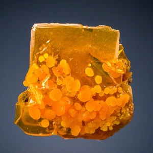 Colección Melanson TN Wulfenita con Mimetita Sonora, México 1212-9563 - Imagen 1 de 4