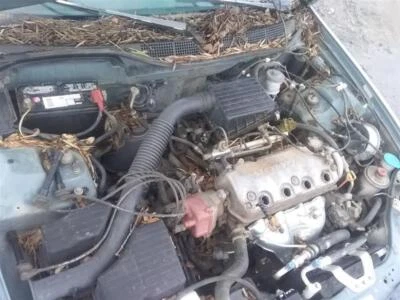 Interruptor de encendido usado se adapta a: Honda Civic AT Grado A 2000 Foto 1 de 4