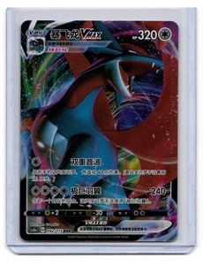 2023 Salamence Pokemon Chinese VMAX Full Art Rare Holo Card 92/115 (US SELLER) - Bild 1 von 1