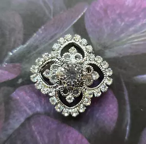 Magnetic Brooch, Clear Crystal Silver-tone Equestrian brooch. Magnetic clasp pin - Picture 1 of 6