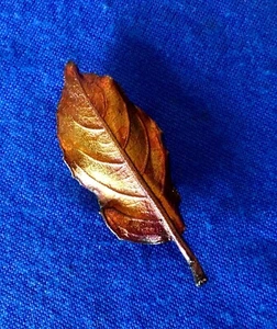 HERBSTLICHE VERKUPFERTE ECHTE LORBEERBLATT BROSCHE VON JOHN GRIFFIN SCHMUCK UNIKAT! - Bild 1 von 6