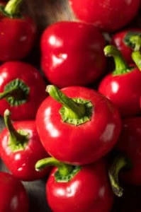 Cherry Bomb Chilli Hot Pepper Seeds - Picture 1 of 1