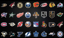 NHL Wall Decals 24"