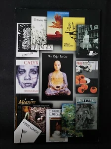 The Cafe Review, Volume 20, Spring 2009, Paperback, Steve Luttrell, Editor - Imagen 1 de 2