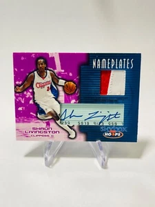 SHAUN LIVINGSTON 2004-05 NBA Hoops RC Rookie NAMEPLATES 2 Color PATCH AUTO #d/25 - Picture 1 of 2