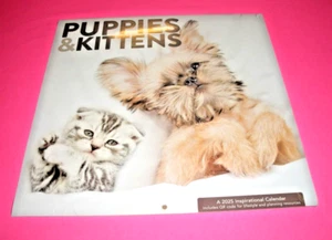 2025 PUPPIES & KITTENS 16-MONTH CALENDAR - 12" X 24" OPEN - FACTORY SEALED-NEW - Picture 1 of 3