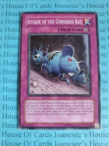 Attack of the Cornered Rat RGBT-EN075 Common Yu-Gi-Oh Karte (U) Neu - Bild 1 von 3