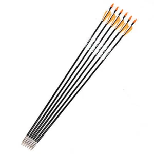 6Pcs 31" Fiberglass Arrow Spine700 For Recurve &Longbow Archery Hunting Practice - Picture 1 of 7