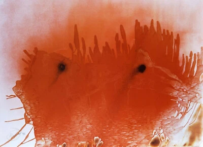 Otto Piene - J.F.K. - Siebdruck nummeriert & handsigniert - Bild 1 von 2