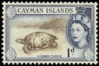 CAYMAN ISLANDS 137 (AG150) - Queen Elizabeth II "Green Sea Turtle" (pb79892)