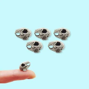 Rabbit Skull Replica - 1:6 Scale dollhouse, dioramas, art supply (5 skulls) - Picture 1 of 6