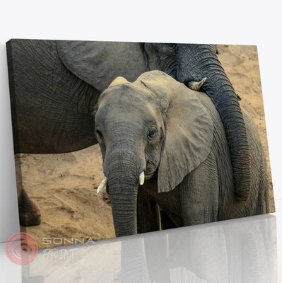 Elephant Hugging Animal Nature Photography Living Room Wall Art Canvas Print - Image 1 of 4