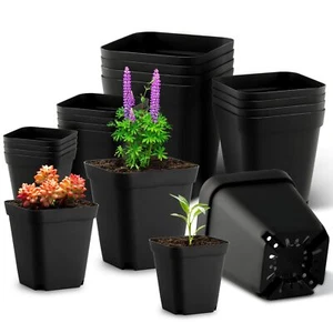 " 20 Pcs Plastic Nursery Pots for Succulents Starting Plants Seedling " - Picture 1 of 6