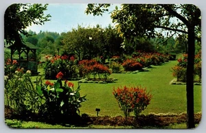 Postcard Allentown Pennsylvania Old Fashioned Garden Cedar Parkway PA - Picture 1 of 2