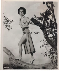 TARZAN THE APE MAN JOANNA BARNES ORIGINAL VINTAGE STILL - Picture 1 of 1