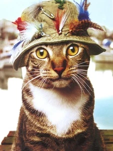 GATO PESCA CON MOSCA "¡El tiempo mosca! TARJETA AVANTI DIVERTIDA FELIZ CUMPLEAÑOS" - Imagen 1 de 2