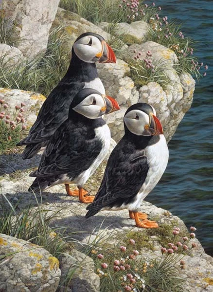 Carl Brenders FISHERMAN'S WHARF-PUFFINS, art print, ARTIST PROOF A/P#16/76 - Image 1 of 1