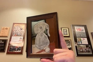 ann adams original drawing in glass - Picture 1 of 2