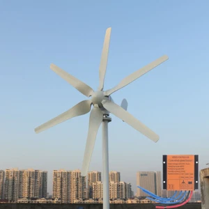 1000W 6 Blätter Windgenerator 12V 24V 48V Windkraftanlage mit MPPT Controller - Bild 1 von 14