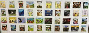 Fountas & Pinnell Green System Set of 40 Readers Levels G-K 1st Grade 1 - Imagen 1 de 1