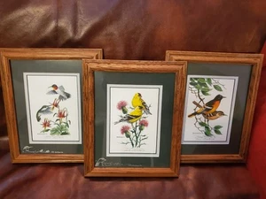 JERRY RAEDEKE 3 Framed Hand Watercolored Prints Birds Hummingbird Oriole Finch - Picture 1 of 6