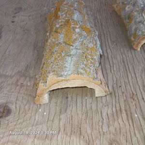 Natural Log Reptile Hide Cave House 7"-8" Long 3"-4" Wide 3" Tall - Picture 1 of 2