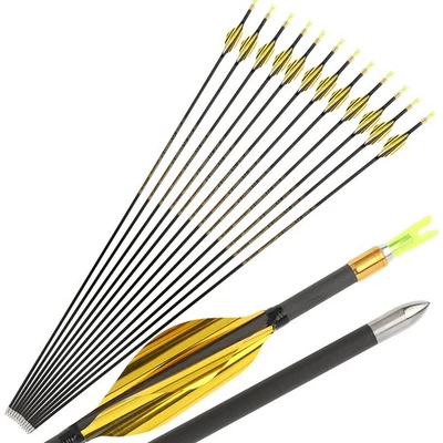 31" Pure Carbon Arrow 700-1000 Spiral Feather Recurve Compound Bow Hunt Target - Image 1 of 4