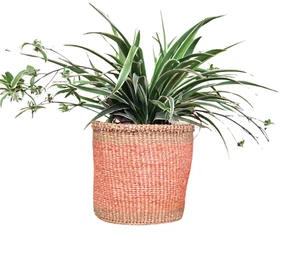 African Kiondo Basket Woven Sisal Storage Planter Kenyan Made Size 8 in /20.3 cm - Picture 1 of 9