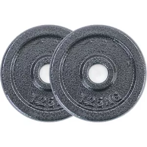 2,5 kg Hantelscheiben Set 2x1,25 kg Gusseisen Hantel Gewicht versiegelt 28mm - Bild 1 von 5