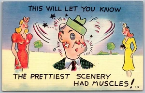 Vtg Comic This Will Let You Know Prettiest Scenery Had Muscles Funny Postcard - Picture 1 of 2