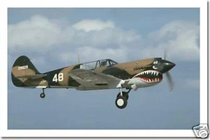 WWII P40 Jagdflugzeug im Flug Luftwaffe Militär POSTER - Bild 1 von 1