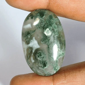 52,50 kt natürlicher grüner Gartenquarz oval Cabochon loser Edelstein unbeheizt J187 - Bild 1 von 2