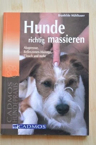 Hunde richtig massieren - Bild 1 von 3