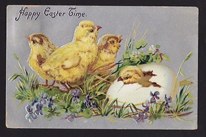 Postkarte 1908 Tuck Küken Brutei Ostern - Bild 1 von 2